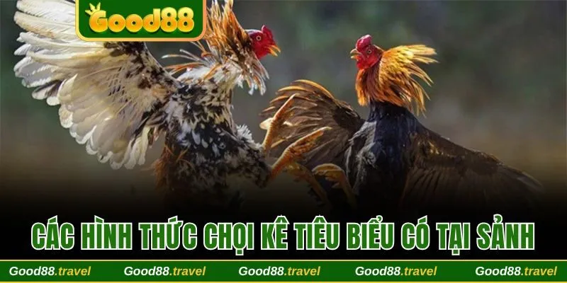 4 hình thức chọi tiêu biểu trong sảnh liên kết tại Good88